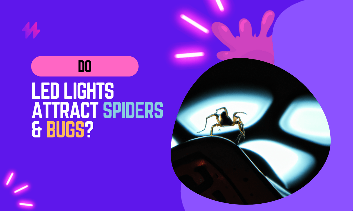 Do LED Lights Attract Spiders