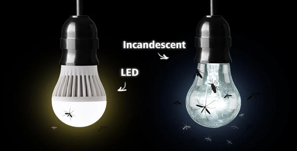 Led vs Incandescent light Do LED lights attract Bugs