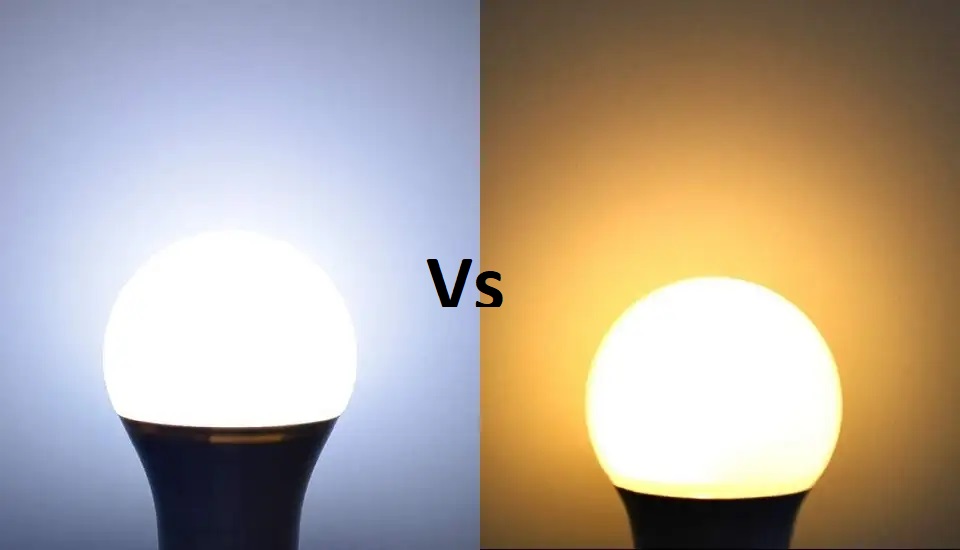 soft white vs daylight bulbs