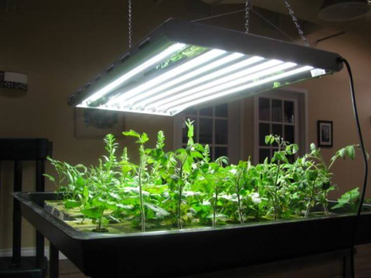 Is 4000K LED light good for plant growth