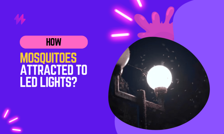 Are Mosquitoes Attracted to Light?