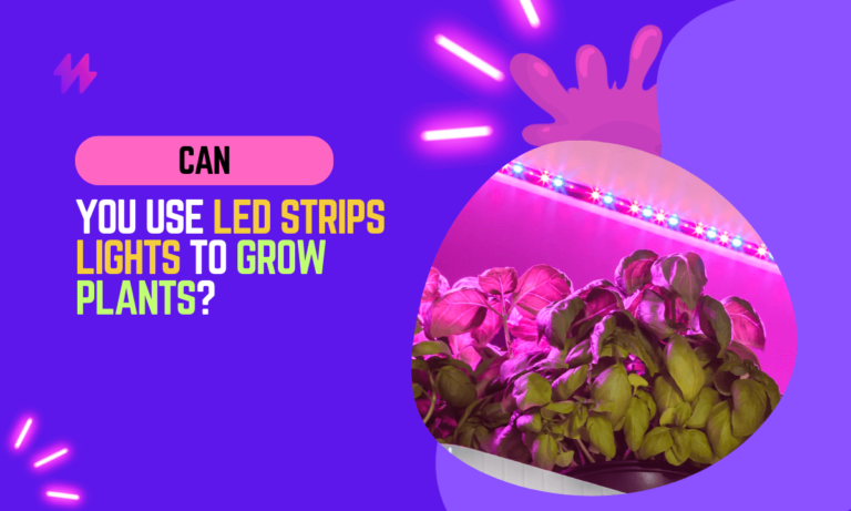 Can You Use LED Strips to Grow Plants?