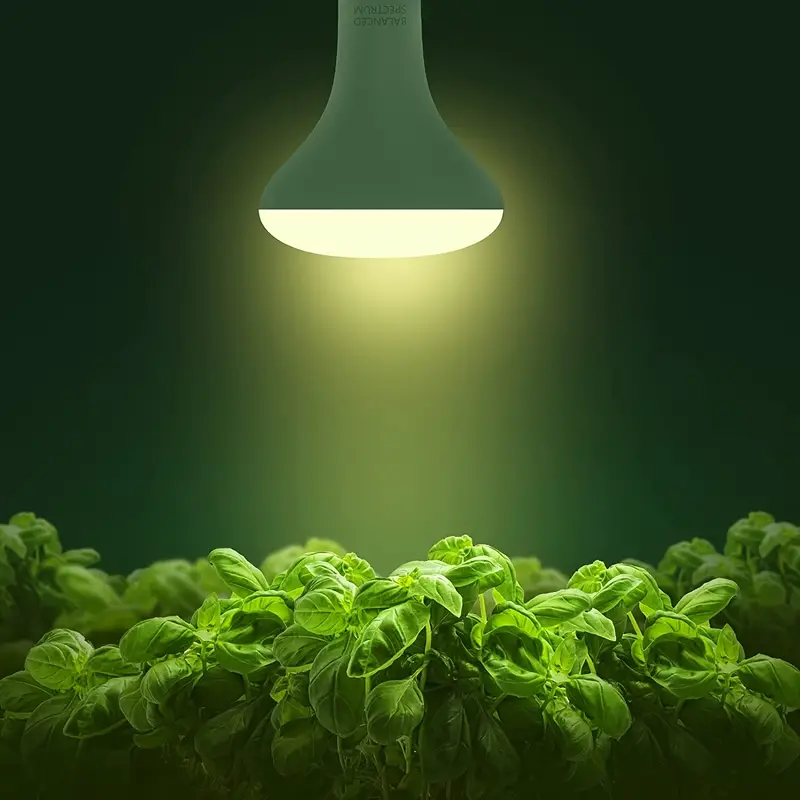 Best Light Bulbs for Indoor Plants