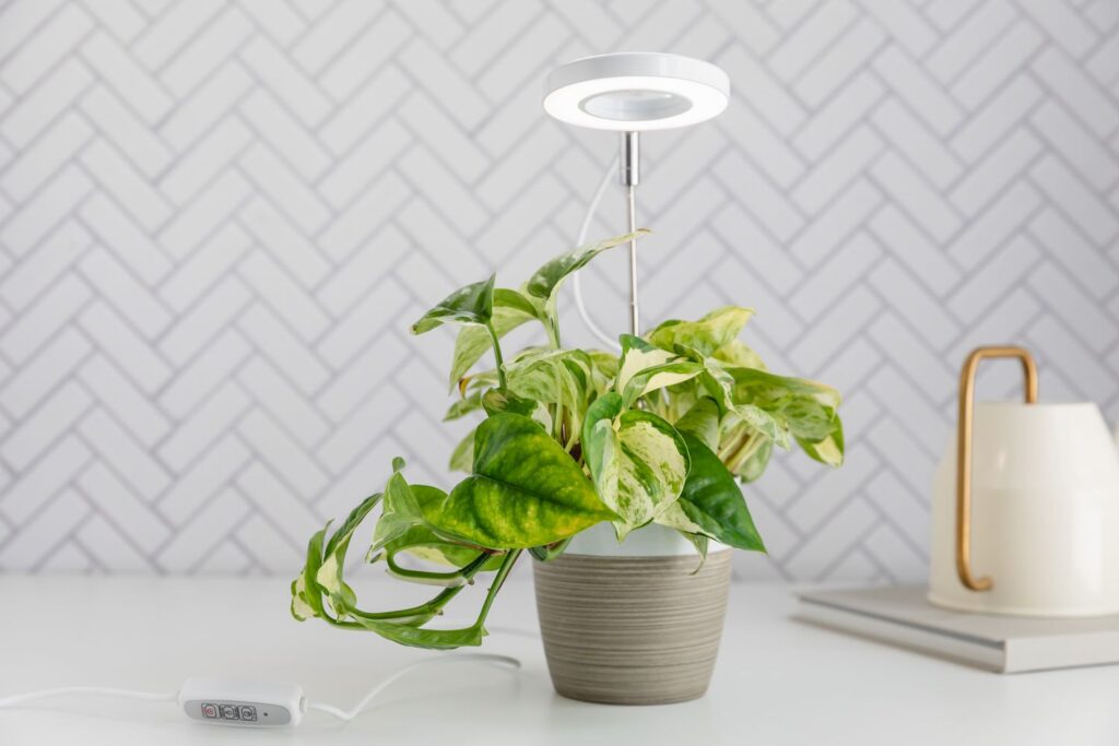 which is the best light for plant growth