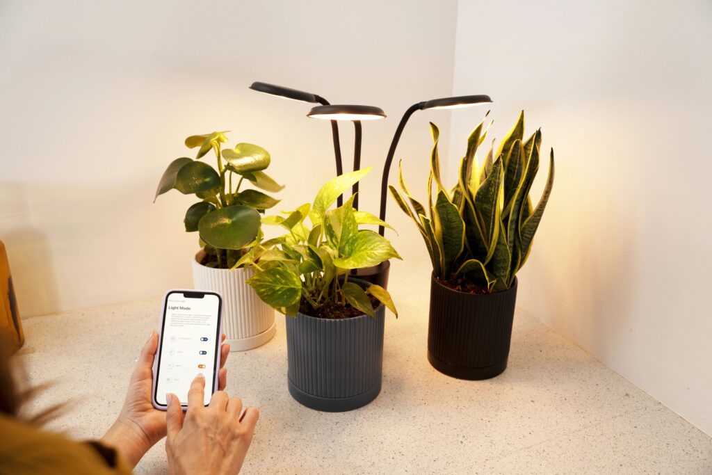 The best light for plant growth